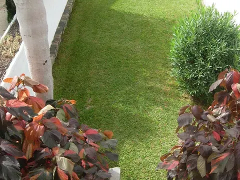 Terraced house in Playa de las Américas, Adeje in Playa de las Américas · Adeje