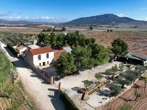 Country house in Paraje de los Ambrosios, Yecla in Country house in Paraje de los Ambrosios, Yecla · Yecla