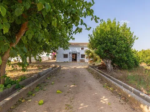 Estate in Calle Poligono 59, Urbanitzacions i Pedanies Sud, Alzira in Estate in Calle Poligono 59, Urbanitzacions i Pedanies Sud, Alzira · Alzira