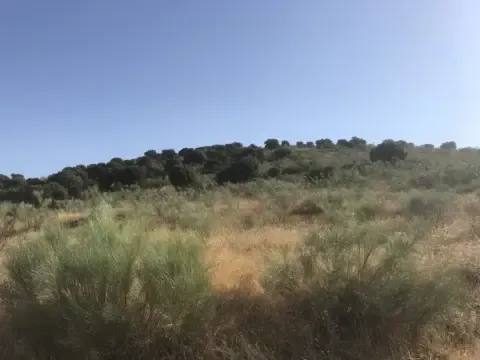 Finca rústica en Malpartida de Plasencia in Malpartida de Plasencia · Malpartida de Plasencia